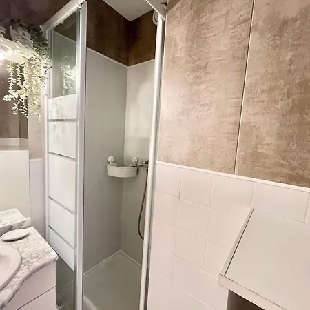 Renove Climatise Avec Parking Prive Pres Des Plages, Commerces Et Restaurants - Fr-1-716-68 Apartment *